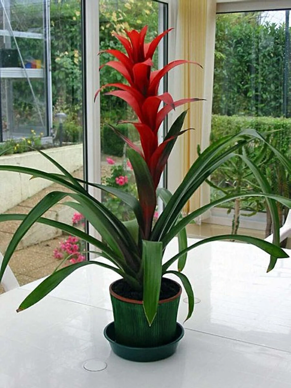 product-details2